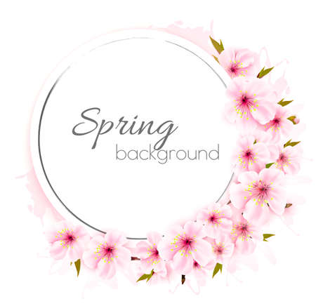 Spring background with pink blooming flowers.のイラスト素材