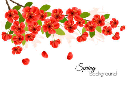 Nature spring background with spring blossom of sakura.のイラスト素材