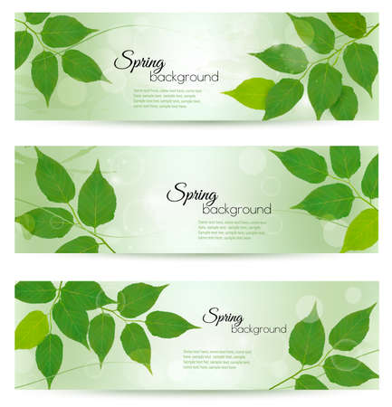 Nature banners with green spring leaves. Vector illustration. のイラスト素材
