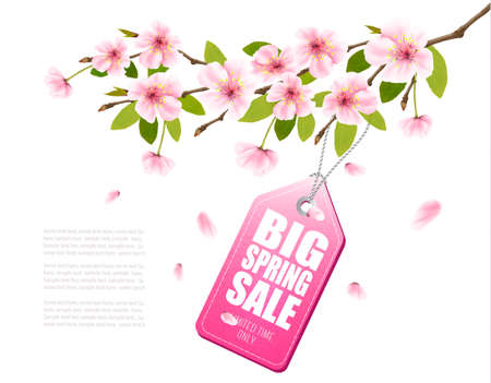Spring sale background with a pink blooming sakura and discount tag.のイラスト素材