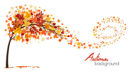 Autumn absctact background with a tree and a colorful leaves. Vector.