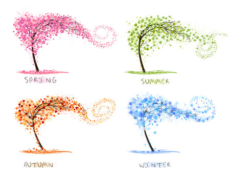 Nature Four stylized trees representing different seasons spring, summer, autumn, winter. Vector.のイラスト素材