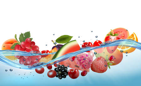 Fruit and berries in juice splash frame with a nutrition facts label. Strawberry, raspberry, blueberry, blackberry, orange, guava, watermelon, pineapple, mango. Vectorのイラスト素材