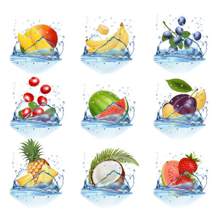 Big collection of fruit in a water splash. Raspberry, black currant, blackberry, blueberry, plum, pineapple, meloun, bannan, guava, strawberry, coconut. Vector Set.の写真素材