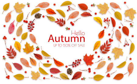 Autumn sale background with colorful forest leaves and a red berries the shape of a heart. Vector.のイラスト素材