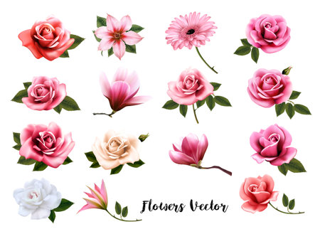 Mega collection of colorfuf fresh flowers. Vectorのイラスト素材