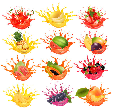 Set of fruits and berries in juice splashes. Watermelon,  pineapple, grape. papaya, banana, mango, passion flower, raspberry, mangosteen, strawberry, plum juice drink splashing. Vectorの写真素材