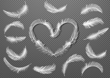 Big Set of White Realistic Different Fluffy Twirled Falling Feathers Isolated on Transparency Grid Background. Feathers collected in the shape of a heart. Vector illustrationのイラスト素材