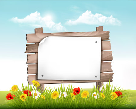 Spring nature landscape background with daisy, poppies, dandelion flowers and wooden sign. Vector.のイラスト素材