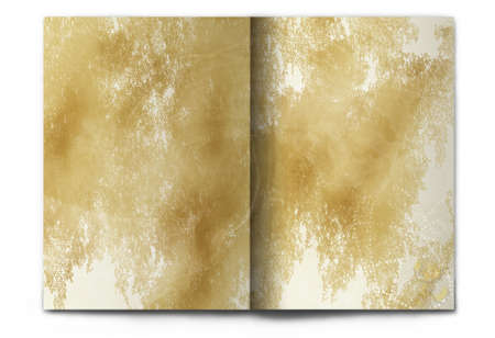Blank / empty magazine spread isolated on white background. Old paper with grunge texture. It's easy...