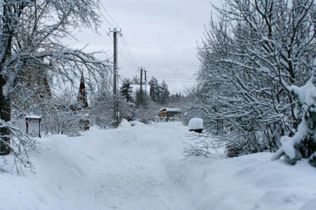 Countryside winter road in a very high snow in village of Latviaの写真素材