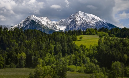 two snow covered mountain tops towering over a green conifer forestの写真素材