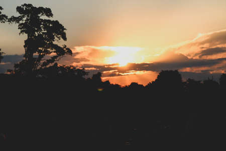 Dramatic sunset at florest field.の写真素材