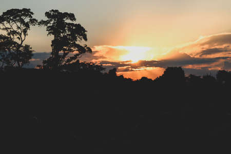 Dramatic sunset at florest field.の写真素材