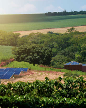 Sunset over Solar energy Farm plant.の写真素材