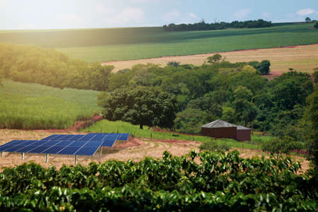 Sunset over Solar energy Farm plant.の写真素材
