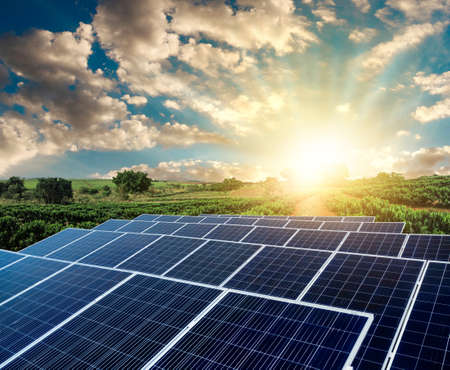 Sunset over Solar energy Farm plant.の写真素材