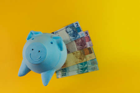 Piggy coins with calculator and brazilian money isolated.の写真素材