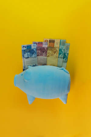 Piggy coins with calculator and brazilian money isolated.の写真素材