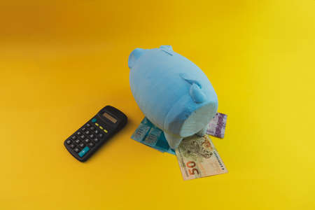 Piggy coins with calculator and brazilian money isolated.の写真素材