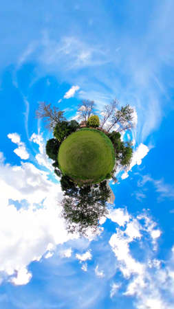 Mini world background with grass, three and houses.の写真素材