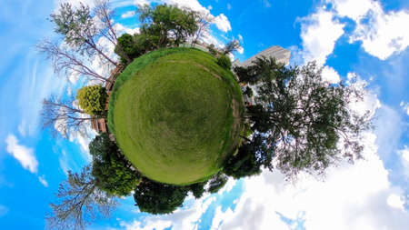 Mini world background with grass, three and houses.の写真素材