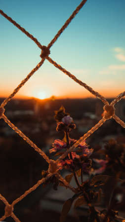 Sunset bokeh blur city background.の写真素材