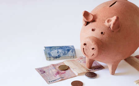 Pig coin with Brazilian money and coins isolated on white background.の写真素材