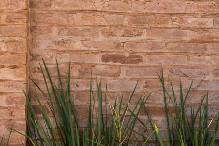 Wall Modern Orange Brick Wall Texture Background.の写真素材