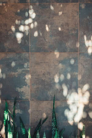 Stone Wall gray modern texture background.の写真素材