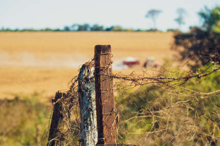 Fence old wood on farmの写真素材