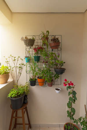 Vertical garden on the balcony of the building. Various types of plants. Sustainable living. concept image.の写真素材