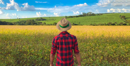 Farmer in soybean field plantation at a beautiful cloudy sunny day