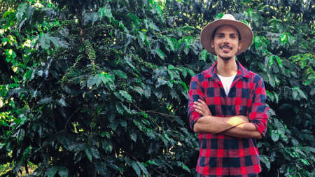 Farmer black man young with hat at coffee field plantationの写真素材