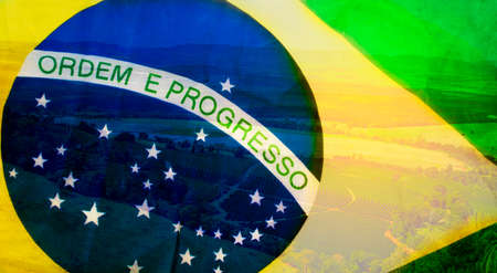 Brazil flag double exposure to coffee. Agriculture concept image of farm field coffee sprouts beans.の写真素材