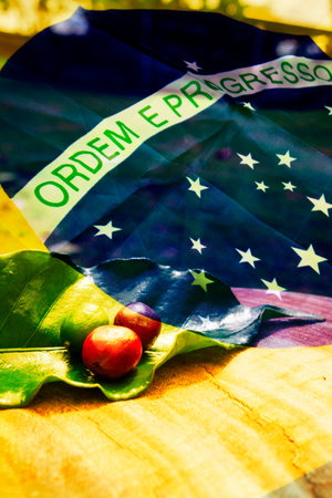 Brazil flag double exposure to coffee. Agriculture concept image of farm field coffee sprouts beans.の写真素材