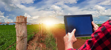 Farmer with tablet computer on the soy bean plantation field countryside at sunset.の写真素材