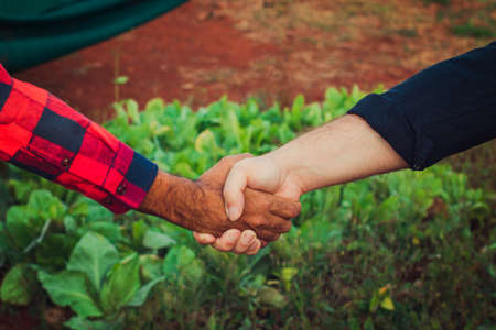 Handshake farmer and customer, plantation on blurred sunset backgroundの写真素材