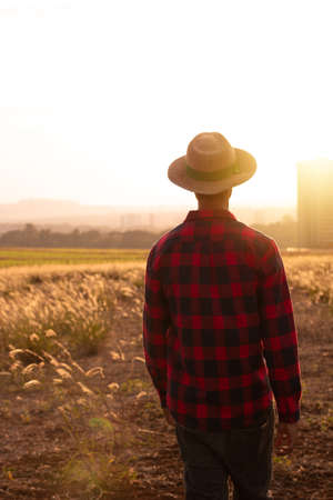 Farmer with hat in farm plantation on sunset. Buildings and city blurred background.の写真素材