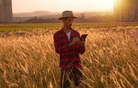 Farmer with hat and mobile tablet analyzing the plantation on sunset. Buildings and city blurred background.の写真素材