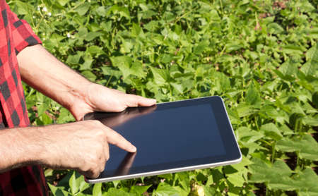Farmer using digital tablet computer in cultivated soybean field plantation. Modern technology...