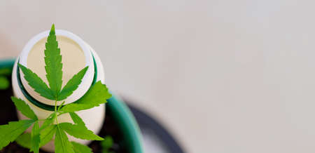 Cannabis Product Composition Indoors. Hemp Leaves and Medicine Bottle on a Natural Background.の写真素材