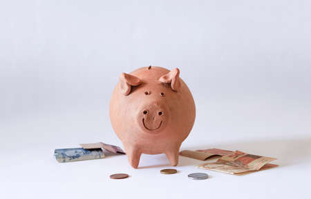Pig coin with Brazilian money and coins isolated on white background