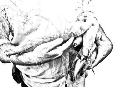 Farmer concept image. Double exposure of farmer holding corn and sundown on the plantation landscape. Agriculture Concept.の写真素材