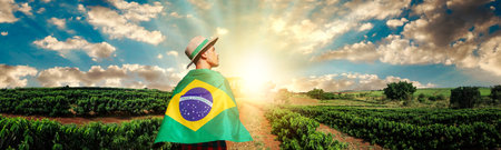 Handsome Black Farmer Holding Brazil Flag on Cinematic Farmer Field Background. Male Farmer with Hat at Harvest on Sunset.の写真素材