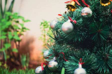 Christmas Tree at Summer Garden with Text Spaceの写真素材