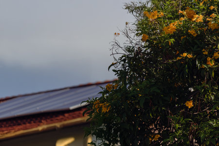 Photovoltaic Panels at Roof Solar in a Cinematic Day.の写真素材