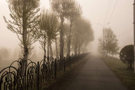 foggy alleyの写真素材