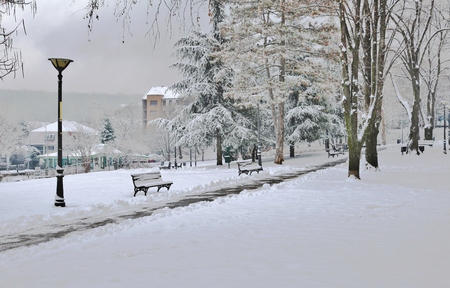 City park in snowの写真素材