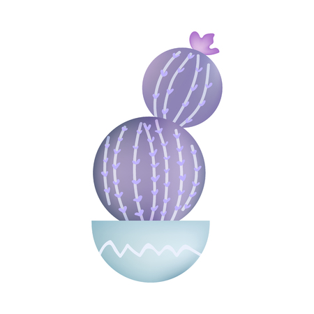 Violet cactus in blue pot isolated on white backgound. Vector illustration.のイラスト素材